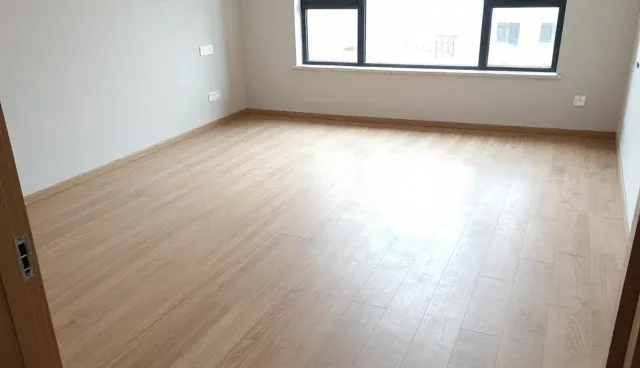 绿植维护套餐:开荒保洁两种做法的对比与取舍